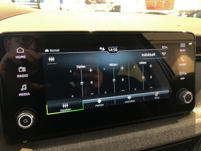 Skoda Kamiq Gebrauchtwagen