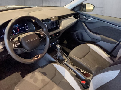 Skoda Kamiq Gebrauchtwagen