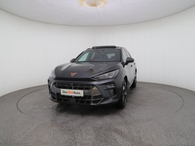 Cupra Terramar Gebrauchtwagen