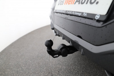 Cupra Terramar Gebrauchtwagen