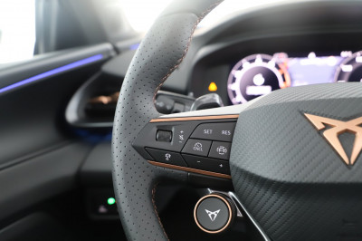 Cupra Terramar Gebrauchtwagen