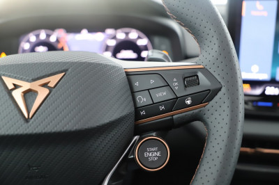 Cupra Terramar Gebrauchtwagen