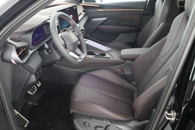 Cupra Terramar Gebrauchtwagen