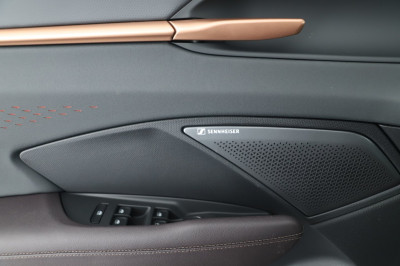 Cupra Terramar Gebrauchtwagen