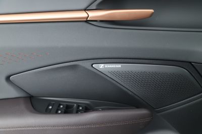 Cupra Terramar Gebrauchtwagen