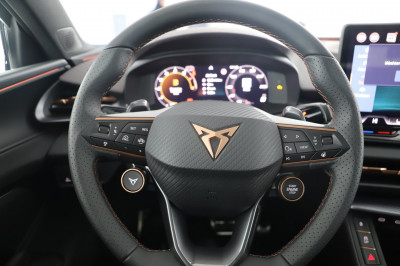 Cupra Terramar Gebrauchtwagen