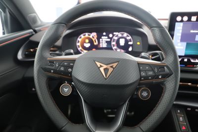 Cupra Terramar Gebrauchtwagen