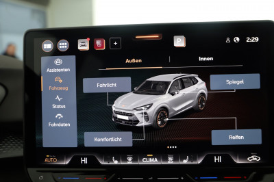 Cupra Terramar Gebrauchtwagen