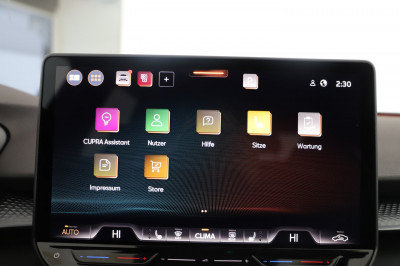 Cupra Terramar Gebrauchtwagen