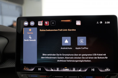 Cupra Terramar Gebrauchtwagen