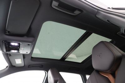 Cupra Terramar Gebrauchtwagen