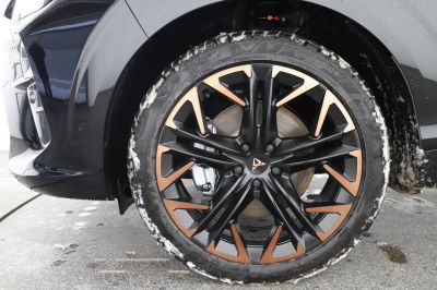 Cupra Terramar Gebrauchtwagen
