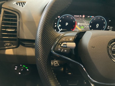 Skoda Karoq Gebrauchtwagen