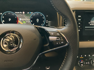 Skoda Karoq Gebrauchtwagen