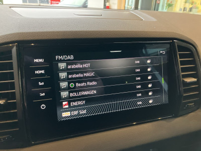 Skoda Karoq Gebrauchtwagen