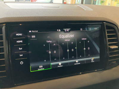 Skoda Karoq Gebrauchtwagen