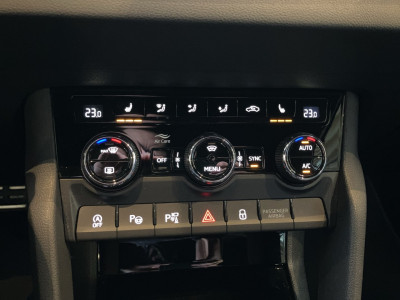 Skoda Karoq Gebrauchtwagen