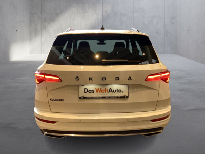 Skoda Karoq Gebrauchtwagen