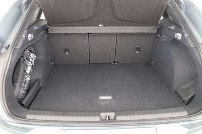 Cupra Terramar Gebrauchtwagen