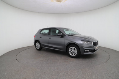 Skoda Fabia Gebrauchtwagen Skoda Fabia Gebrauchtwagen