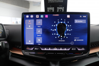 Cupra Tavascan Gebrauchtwagen