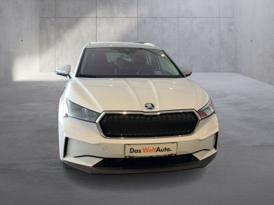 Skoda Enyaq Gebrauchtwagen