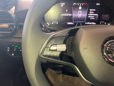 Skoda Fabia Gebrauchtwagen