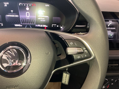 Skoda Fabia Gebrauchtwagen