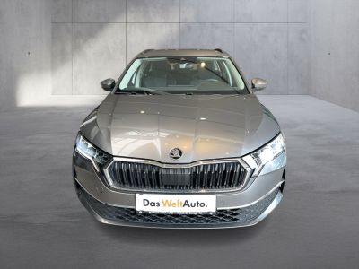 Skoda Octavia Gebrauchtwagen Skoda Octavia Gebrauchtwagen