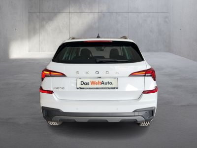 Skoda Kamiq Gebrauchtwagen