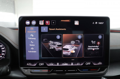 Cupra Formentor Gebrauchtwagen