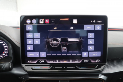 Cupra Formentor Gebrauchtwagen