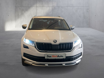 Skoda Kodiaq Gebrauchtwagen