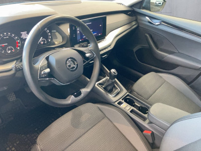 Skoda Octavia Gebrauchtwagen