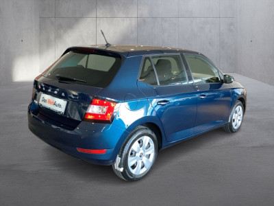 Skoda Fabia Gebrauchtwagen