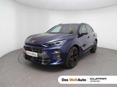 Cupra Terramar Gebrauchtwagen