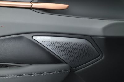 Cupra Terramar Gebrauchtwagen Cupra Terramar Gebrauchtwagen