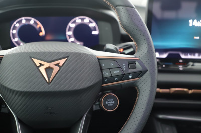 Cupra Terramar Gebrauchtwagen