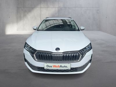 Skoda Octavia Gebrauchtwagen Skoda Octavia Gebrauchtwagen