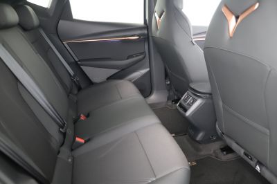 Cupra Tavascan Gebrauchtwagen Cupra Tavascan Gebrauchtwagen