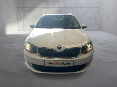Skoda Fabia Gebrauchtwagen