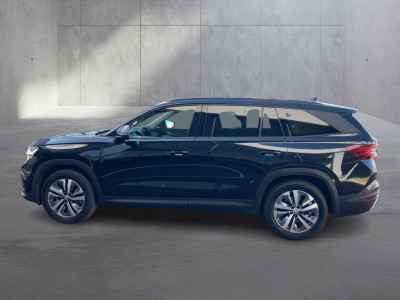Skoda Kodiaq Gebrauchtwagen Skoda Kodiaq Gebrauchtwagen
