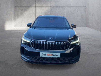 Skoda Kodiaq Gebrauchtwagen Skoda Kodiaq Gebrauchtwagen
