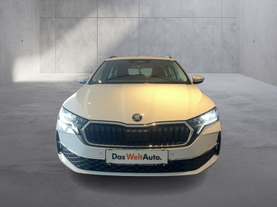 Skoda Octavia Gebrauchtwagen Skoda Octavia Gebrauchtwagen