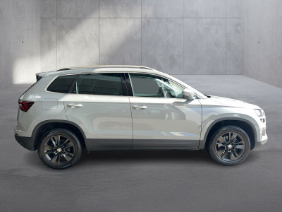 Skoda Karoq Gebrauchtwagen Skoda Karoq Gebrauchtwagen