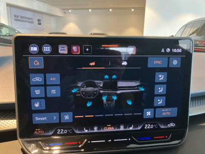 Cupra Terramar Gebrauchtwagen Cupra Terramar Gebrauchtwagen