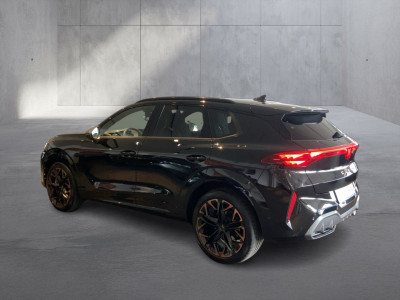 Cupra Terramar Gebrauchtwagen Cupra Terramar Gebrauchtwagen