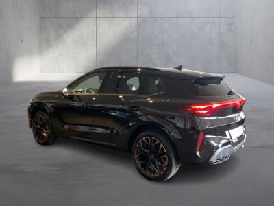 Cupra Terramar Gebrauchtwagen