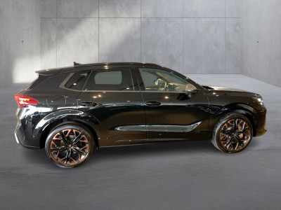 Cupra Terramar Gebrauchtwagen Cupra Terramar Gebrauchtwagen