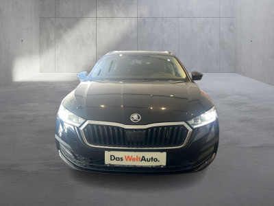 Skoda Octavia Gebrauchtwagen Skoda Octavia Gebrauchtwagen